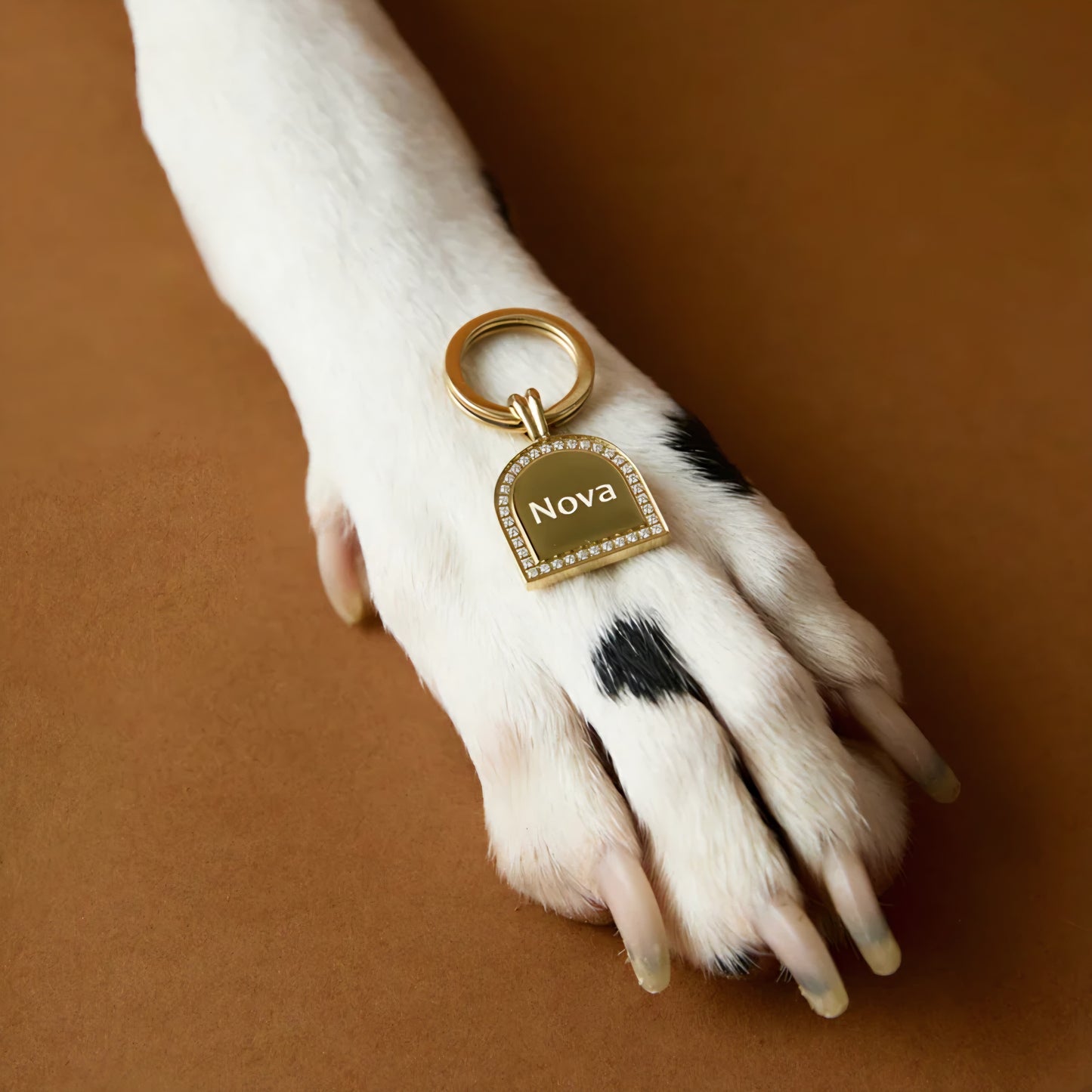 London Pet Tag AURÉLE & IVY
